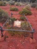 image of grave number 513012